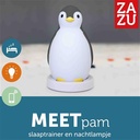 Slaaptrainer pinguïn Pam