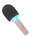 Karaoke Micro