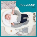 Cloud nest