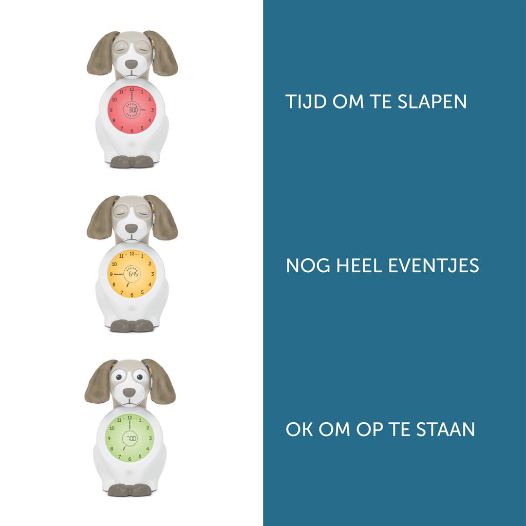 Slaaptrainer hond Davy