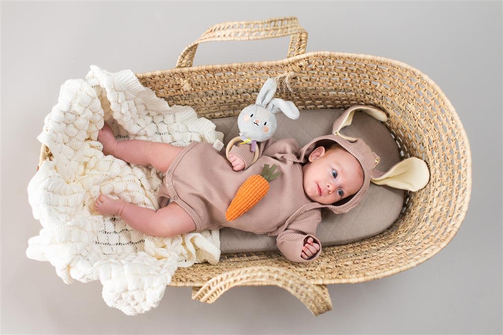 Rylee Bunny Rattle