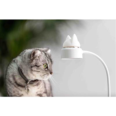 Nachtlamp kat